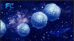 80-in-1 Interactive Effects